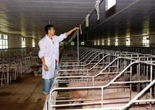 中國最大養(yǎng)豬場在哪里？