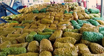 黃龍 探索農副產品“鏈式發(fā)展”，激活產業(yè)“聚變效應”